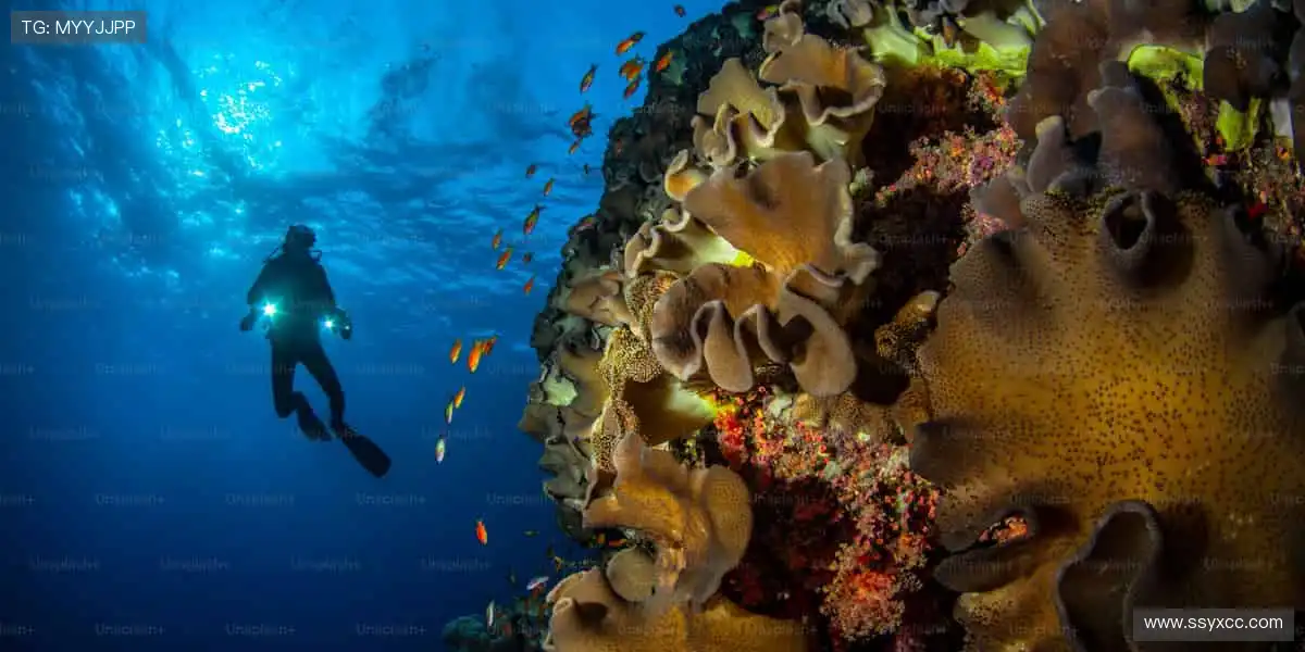 突破极限,见证传奇!🚴🏃